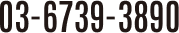 03-6739-3890